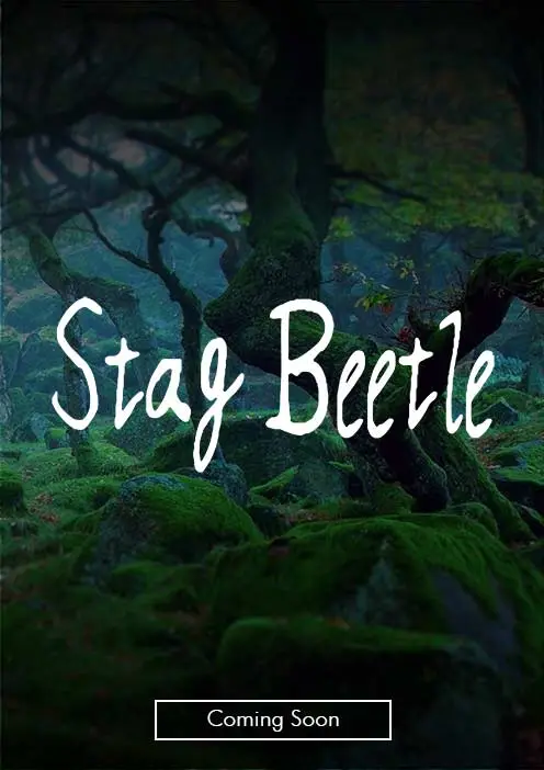 Stag Beetle